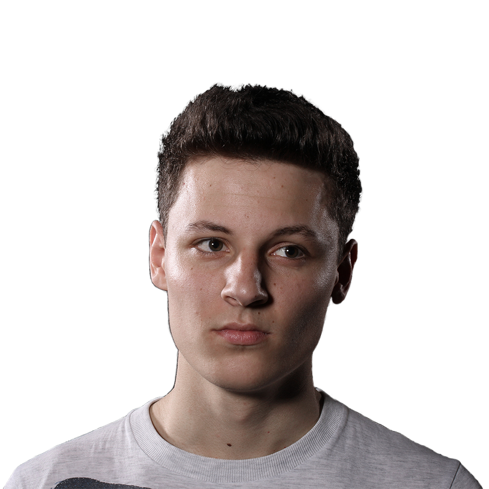 Dominik Merle